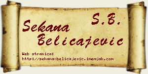 Sekana Beličajević vizit kartica
